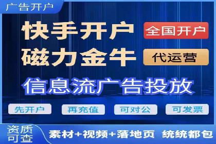 竞价端口开户后的广告投放策略案例